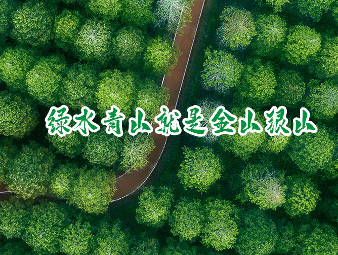 杭州湾环保协会