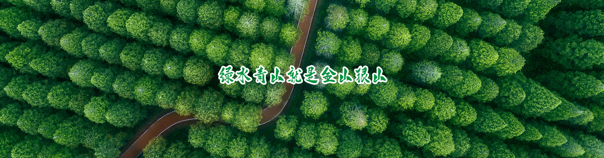 	杭州湾环保协会